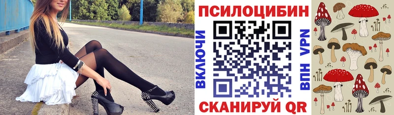 Псилоцибиновые грибы Magic Shrooms Ивантеевка
