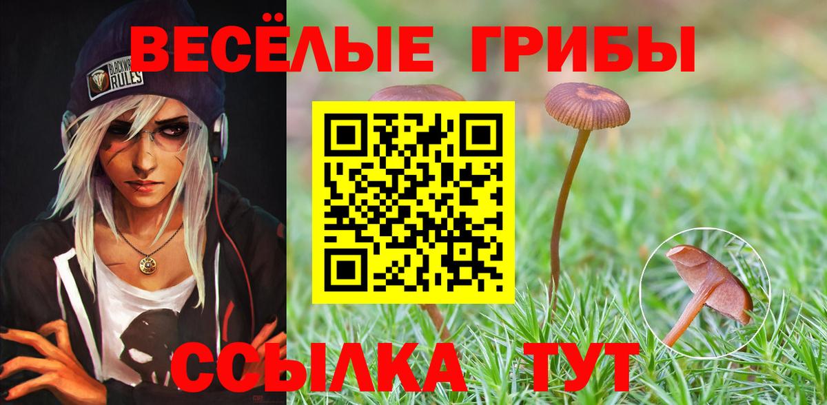 Галлюциногенные грибы Cubensis  Галлюциногенные грибы Psilocybe  Ивантеевка  Вход с VPN 