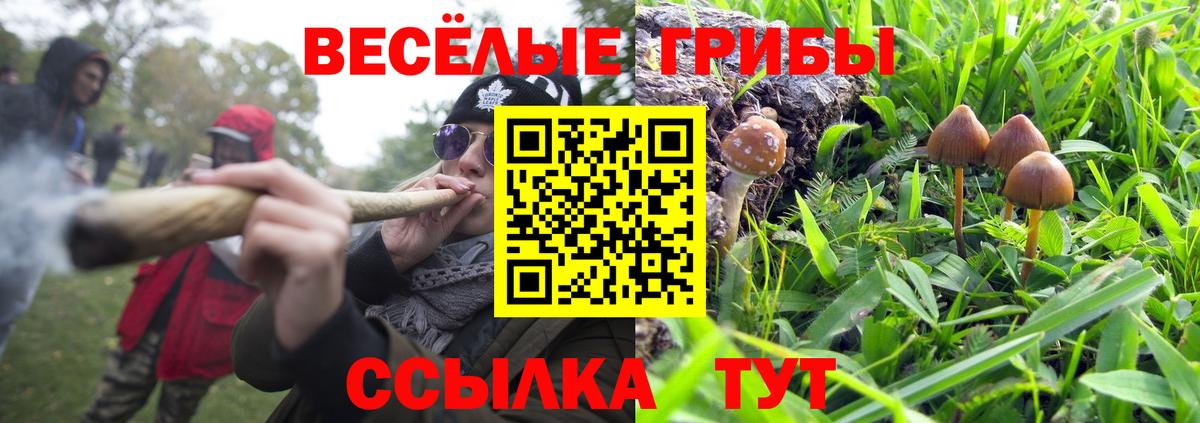 что такое   Галлюциногенные грибы прущие грибы  Ивантеевка  Галлюциногенные грибы ЛСД 